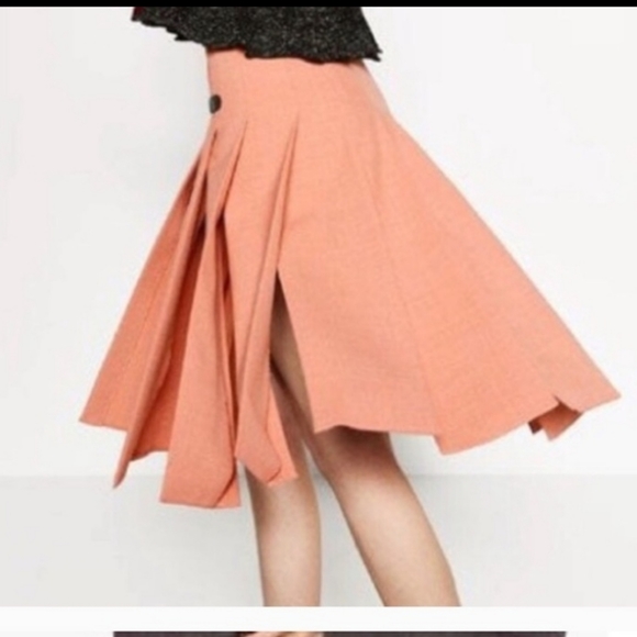 Zara Box Pleat Skirt - Picture 5 of 10